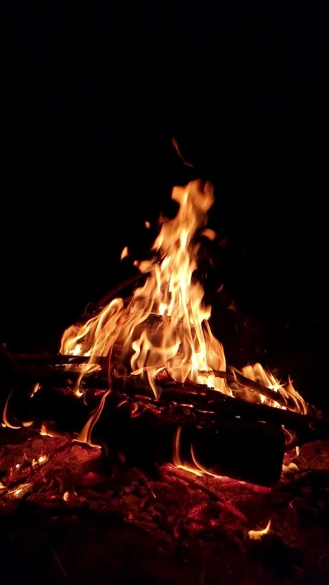 Burning bonfire with bright orange flames at night Stock Footage 335478447