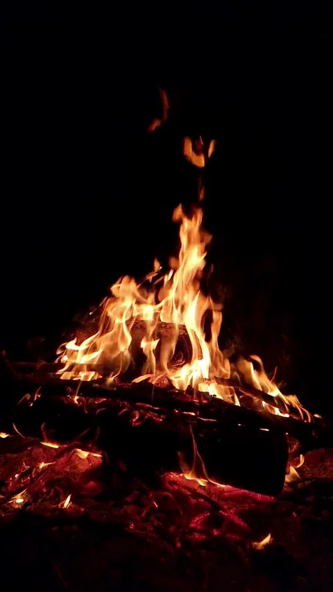 Burning bonfire with bright orange flames at night Stock Footage 335478489