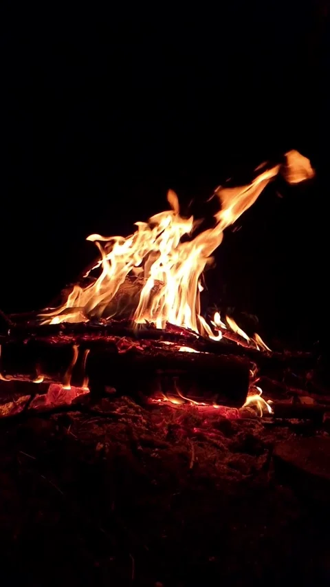 Burning bonfire with bright orange flames at night Stock Footage 335478495