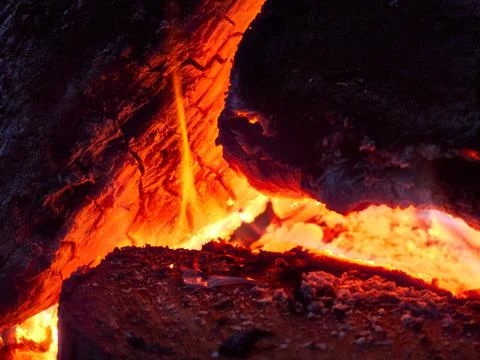 A burning bonfire. Burning logs. Stock Photos
