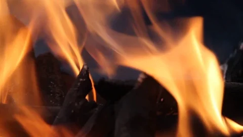 Burning bonfire close-up Video stock 76441175