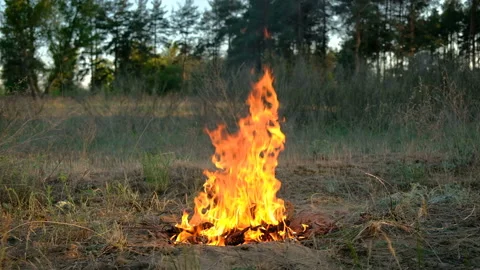 Burning bonfire, close-up view. Flickering Flames Wood Fire, 4K. 스톡 동영상 89155655