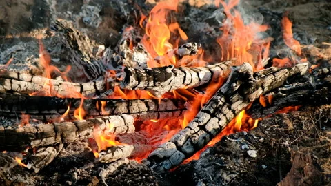 Burning bonfire, close-up view. Flickering Flames Wood Fire, 4K. Stock-Footage 89155685