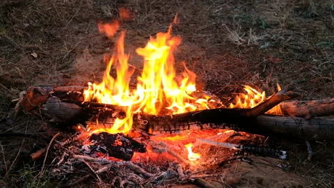 Burning bonfire, close-up view. Flickering Flames Wood Fire, 4K. Stock-Footage 89787371