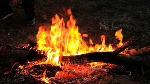 Burning bonfire, close-up view. Flickering Flames Wood Fire, 4K. Stock-Footage 89787421