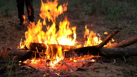 Burning bonfire, close-up view. Flickering Flames Wood Fire, 4K. Stock-Footage 89787472