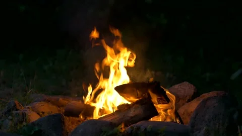 Burning bonfire in the dark. Stock Footage 137768382