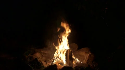 Burning bonfire in the dark. Stock-Footage 137769060