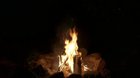 Burning bonfire in the dark. Stock Footage 137769077