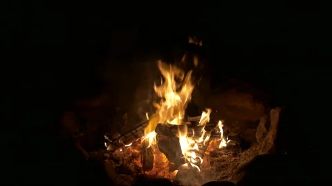 Burning bonfire in the dark. The man throws firewood into the fire. Stock Footage 137768620