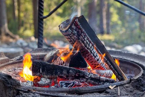 Burning bonfire in the early spring forest. Stock Photos