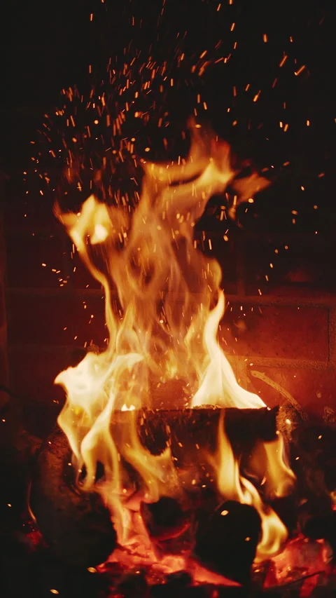 Burning bonfire in the fireplace. Looping fire background Stock Footage 280781273