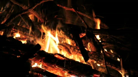 Burning Bonfire Video stock 770429