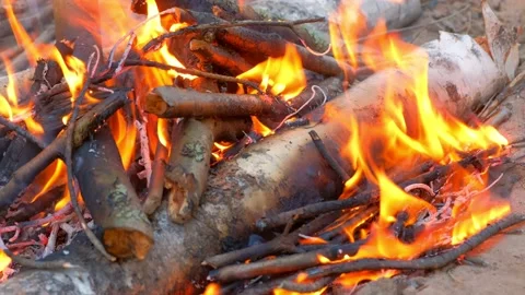 Burning bonfire in forest camping and burning birch in fire, closeup view. Stock Footage 136418542