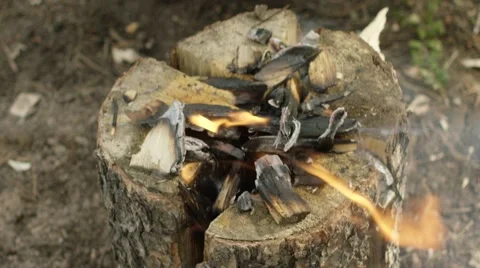 Burning bonfire in forest Stock Footage 68493823