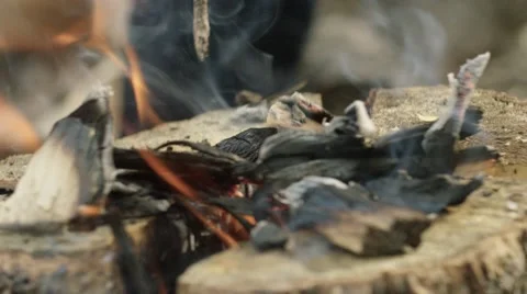 Burning bonfire in forest Stock Footage 68493855