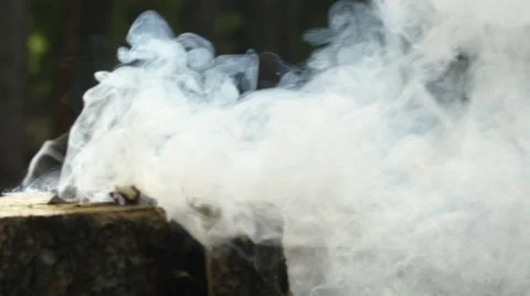 Burning bonfire in forest Stock Footage 68493861