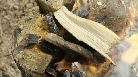 Burning bonfire in forest Stock Footage 68493869