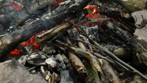 Burning bonfire in the forest 库存影片 86424487
