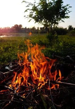 A burning bonfire is lit in the open air Stock Photos