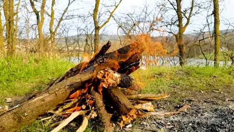 Burning bonfire in nature Stock Footage 133276244