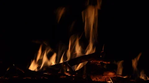 Burning bonfire at night close up. 4K 2160p video clip Stock Footage 98465759