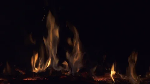Burning bonfire at night close up. 4K ultra hd video clip Stock-Footage 98466053