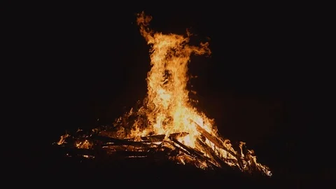 Burning bonfire in the night, the fire is highlighted in silhouette Vídeos de archivo 122322574