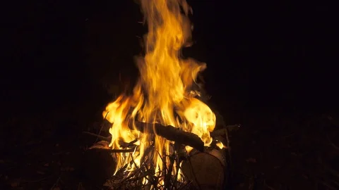 Burning bonfire at night Stock Footage 97754835