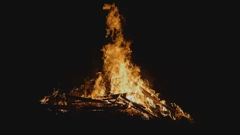 Burning bonfire in the night Video stock 122323459