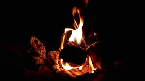 Burning Bonfire in the Night Stock Footage 293185207
