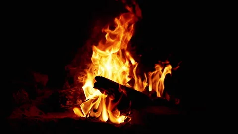 Burning Bonfire at Night Stock Footage 293264595