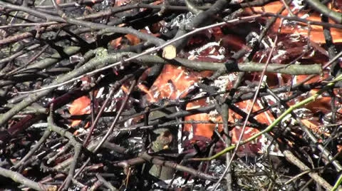 Burning bonfire or capmfire Stock Footage 22741188