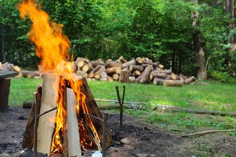Burning bonfire Stock Photos