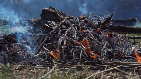 Burning bonfire with smoke 動画素材 115805499