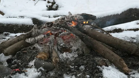Burning bonfire in the winter forest Stock Footage 168925446