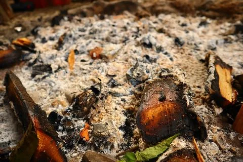 Burning bonfires Stock Photos