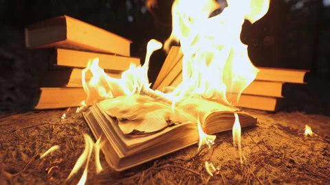 Burning book on fire flames Stock Footage 247453772