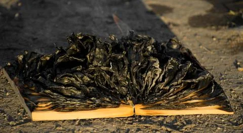 Burning book on fire flames. Stock Photos