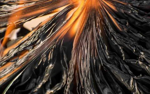 Burning book on fire flames. Stock Photos
