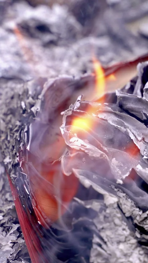 Burning book pages with fire flame Vertical video. Video stock 342928900