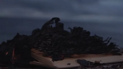 Burning book on the sand at coast Stock Footage 74378624