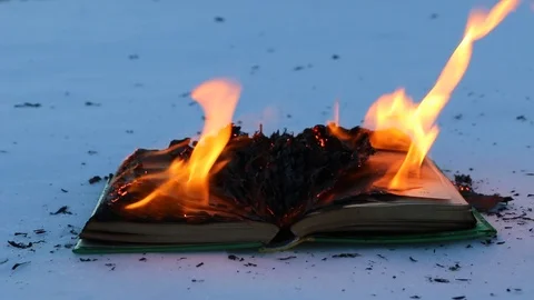 Burning book in the snow. Video stock 104689012