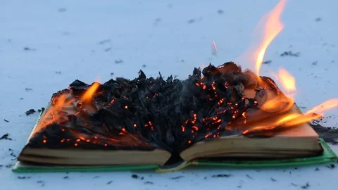 Burning book in the snow. Video stock 104689028