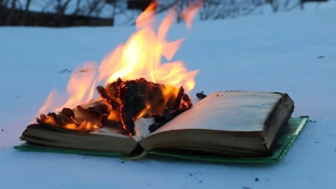 Burning book in the snow. Video stock 104689049