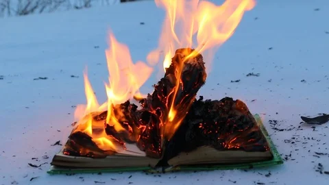 Burning book in the snow. Video stock 104689063