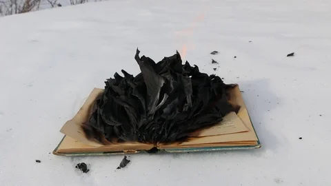 Burning book in the snow. Video stock 119003051