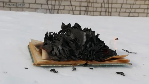 Burning book in the snow. Video stock 119003052