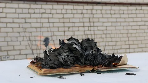 Burning book in the snow. Video stock 119003058
