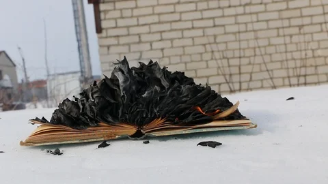 Burning book in the snow. Video stock 119003066